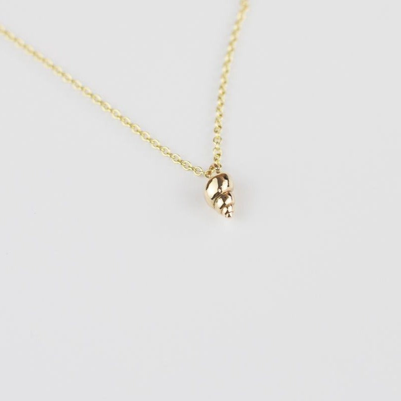 Shell Necklace