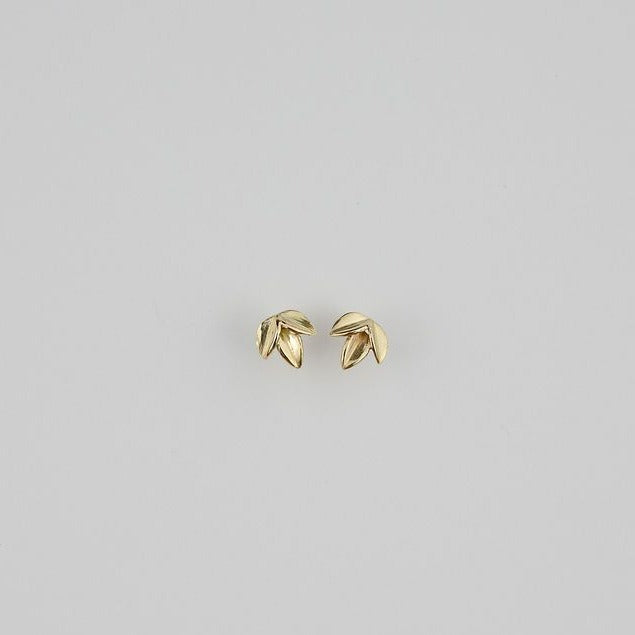 Bloom Studs